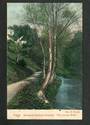 Coloured postcard by Muir and Moodie of Lovers' Walk Botannical Gardens Dunedin. - 249133 - Postcard
