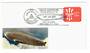 USA 1979 Graf Zeppelin Stamp Festival '79. Special Postmark. 50th Anniversary of the First Round the World Flight.