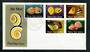PAPUA NEW GUINEA 1981 Land Snail Shells. Set of 5 on first day cover. - 31610 - FDC