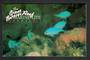 AUSTRALIA 1984 Definitives Fish. Set of 19 in presentation pack. - 32293 - UHM