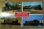 Coloured postcard of Torbay Steam Railway Workings. - 40527 - Postcard