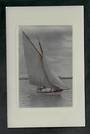 Real Photograph of Yacht on Auckland Harbour. - 42551 - Postcard