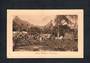 COOK ISLANDS Modern Coloured Postcard of Coconut Tree Climbing. - 43825 - Postcard