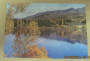 Modern Coloured Postcard by Gladys Goodall of Lake Hayes. - 444225 - Postcard