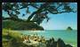 Modern Coloured Postcard by Gladys Goodall of Waiwera Beach Hibiscus Coast. - 444439 - Postcard