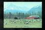 Modern Coloured Postcard by Gladys Goodall of Mt Cook from Glentanner Sheep Station. - 444503 - Postcard