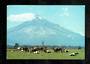 Modern Coloured Postcard by Gladys Goodall of Mt Egmont. - 444572 - Postcard