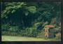 Modern Coloured Postcard by Gladys Goodall of telephone box Waipoua Forest. - 444636 - Postcard
