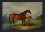 Modern Coloured Postcard of Beeswing and her foal. - 444792 - Postcard