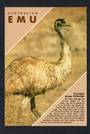 AUSTRALIA Modern Coloured Postcard of Emu. - 444810 - Postcard