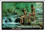 Modern Coloured Postcard of Maori Maidens. - 444864 - Postcard