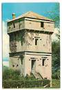 Modern Coloured Postcard of Historic Tower Matamata. - 445683 - Postcard