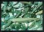 Modern Coloured Postcard of Trout Pool Rotorua. - 445902 - Postcard