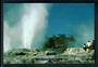 Modern Coloured postcard by PPL of Hastings of Pohutu Geyser Rotorua. - 445951 - Postcard