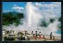 Modern Coloured postcard by PPL of Hastings of Pohutu Geyser Rotorua. - 445953 - Postcard