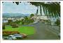 Modern Coloured Postcard of Tauranga. - 446308 - Postcard