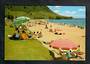 Modern Coloured Postcard of Ocean Beach Mt Maunganui. - 446332 - Postcard