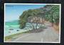 Modern Coloured Postcard by Goldfields Print Limited. Montage of Te Aroha. - 446504 - Postcard