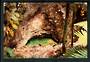 Modern Coloured Postcard by G B Scott of Aladdins Magic Cave Orakei Korako. - 446702 - Postcard