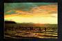Modern Coloured Postcard by G B Scott of LakeTaupo. - 446725 - Postcard