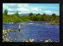 Modern Coloured Postcard by G B Scott of Tongariro River. - 446730 -