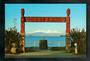 Modern Coloured Postcard by G B Scott of LakeTaupo. - 446732 -