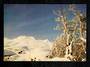 Modern Coloured Postcard of Mt Ruapehu from the Ohakune Road. - 446811 - Postcard