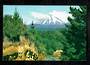 Modern Coloured Postcard by G B Scott of Mt Ngauruhoe. - 446813 - Postcard