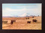 Modern Coloured Postcard by G B Scott of Mt Ngauruhoe and Mt Ruapehu. Angus cattle. - 446818 - Postcard