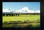 Modern Coloured postcard by PPL of Hastings of Mt Ngauruhoe. - 446824 - Postcard