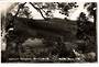 Real Photograph by T G Palmer & Son of Waipoua Forest Settlement. - 44766 -