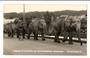 Real Photograph by T G Palmer & Son of Circus Elephants on Victoria Bridge Whangarei. - 44787 - Postcard