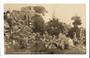 Real Photograph by Radcliffe of Limestone Rocks near Whangarei. Shows