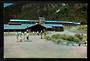 Modern Coloured Postcard by Gladys Goodall of The Hermitage Mt Cook. - 448856 - Postcard