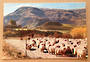 Modern Coloured Postcard by G B Scott of Sheep at Arrowtown. - 449404 - Postcard