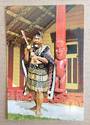 Modern Coloured Postcard. The Challenge by a Maori Warrior. - 449585 - Postcard