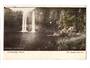 Postcard of Whangarei Falls. - 45024 - Postcard