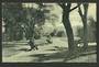 Postcard of The Domain Gardens Auckland. - 45194 - Postcard
