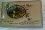 Early Undivided Coloured postcard. Hearty Greeting from Auckland. Faults. - 45208 - Postcard