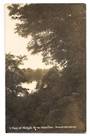 Real Photograph. A peep of the Waikato River at Hamilton. - 45685 - Postcard