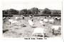 Real Photograph by N S Seaward of Pastoral Scene Waikato. - 45699 - Postcard