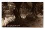 Real Photograph of Lovers Walk Hamilton. - 45718 - Postcard