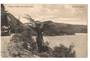 Postcard of Tikitapu or Blue Lake Rotorua. - 45901 - Postcard