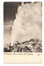 Early Undivided Postcard of An eruption Wairoa Geyser after soaping. - 46055 - Postcard