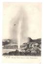 Early Undivided Postcard by Muir and Moodie of the great Wairoa Geyser in action. - 46060 - Postcard