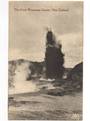 Postcard of The Great Waimangu Geyser. - 46090 - Postcard