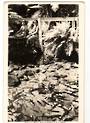 Real Photograph by A B Hurst & Son of Trout in Fairy Springs Rotorua. - 46190 - Postcard