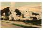 Coloured postcard by LeGrice of Whakarewarewa. - 46205 - Postcard