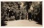 Real Photograph by N S Seaward of Hongi's Track Rotorua. - 46242 - Postcard