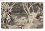 Postcard of New bath House and Sanatorium Grounds Rotorua. Stain on the reverse. - 46247 - Postcard